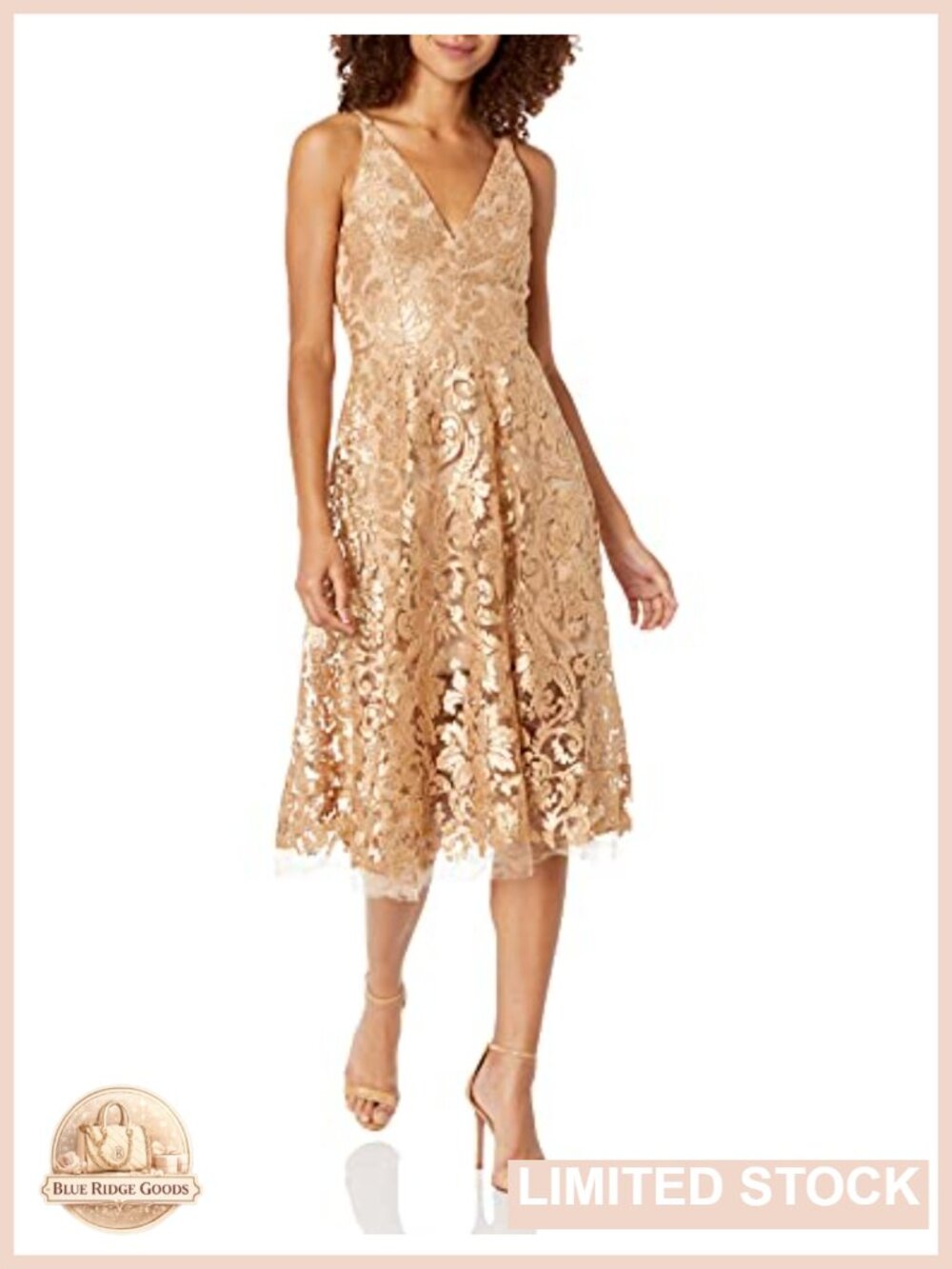 Sleeveless V-Neck Fit and Flare Midi Dress Lace Sequin Embroidery